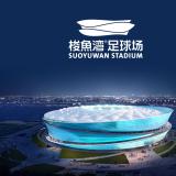 中国日报报道：大连梭鱼湾足球场精彩亮相 LOGO画龙点睛大获好评